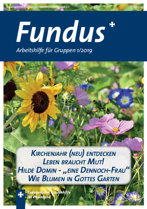 Fundus 2019-1