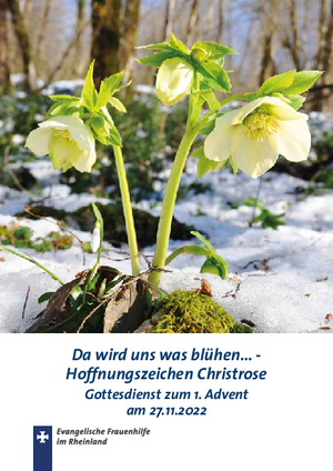 Advent 2022