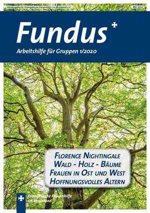 Fundus 2020-1